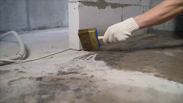 24/7 Emergency Interior Drainage System experts in Le Roy, NY
